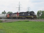IC 3115 and CN 9673